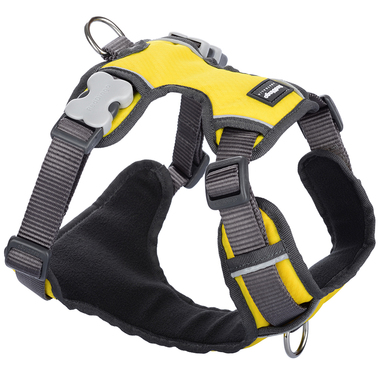 Red Dingo Yellow Padded Harness
