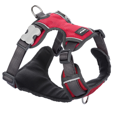 Red Dingo Red Padded Harness