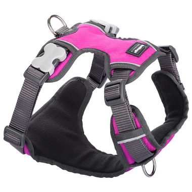Red Dingo Hot Pink Padded Harness