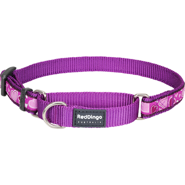 Red Dingo Breezy Love Purple Martingale Dog Collar