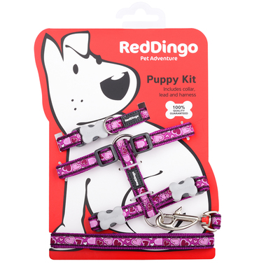 Red Dingo Breezy Love Purple Puppy Pack (Collar, Lead & Harness)