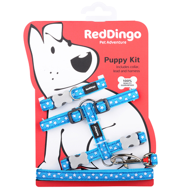 Red Dingo White Star On Turquoise Puppy Pack (Collar, Lead & Harness)