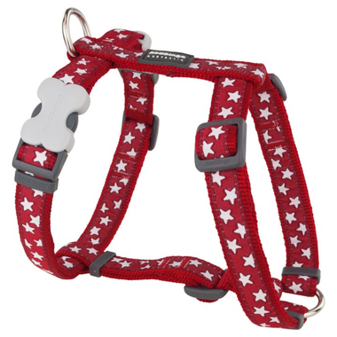 Red Dingo White Star on Red Dog Harness