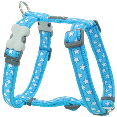 Red Dingo White Star on Turquoise Dog Harness