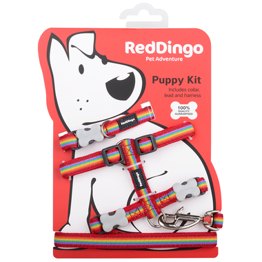 Red Dingo Rainbow Puppy Pack (Collar, Lead & Harness)