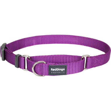Red Dingo Classic Purple Martingale Dog Collar