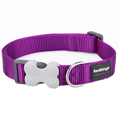 Red Dingo Plain Purple Dog Collar