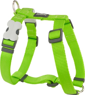 Red Dingo Plain Lime Green Dog Harness